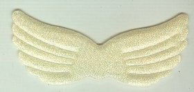 Wings Rainbow