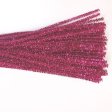 (image for) CS Glitter 6mm Fuschia 100p
