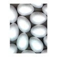 (image for) Set Small Alphabet (D)10 pack. Size 33x23mm