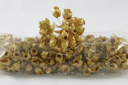 (image for) Set Small Alphabet (F)10 piece