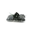 (image for) Set Small Alphabet (F)10 piece