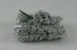 (image for) Set Small Alphabet (F)10 piece