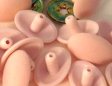 (image for) Set Small Alphabet (F)10 piece