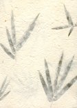 (image for) Set Small Alphabet (F)10 piece