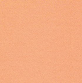 Felt Square 9x12" Apricot