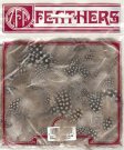(image for) Set Small Alphabet (F)10 piece