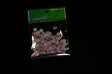 (image for) Set Small Alphabet (J)10 piece Size 33mm x 20mm
