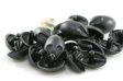 (image for) Set Small Alphabet (K)10 piece