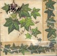 (image for) DecoArt Decor Napkin Ivy