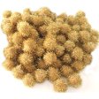 (image for) Set Small Alphabet (P)10 pack. Size 33x22mm