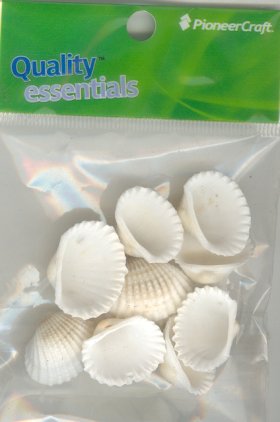 White Cockle Shells 10 pieces per pkt