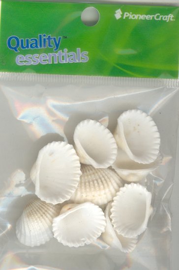 (image for) White Cockle Shells 10 pieces per pkt