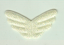 Wings Rainbow