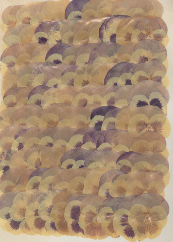 (image for) Set Small Alphabet (F)10 piece