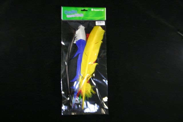 Turkey Quills