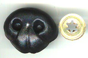 Bear Noses
