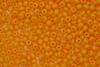 Czech Seed 11/0 Op Orange 500g