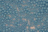 Czech Seed 11/0 Op Light Blue 500g