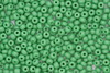 Czech Seed 11/0 Op Green 100g