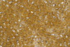 Czech Seed 8/0 SLS Lined Topaz 500g