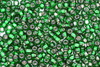 Czech Seed 11/0 SLS Lined Green 100g