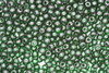 Czech Seed 11/0 R Tr Dark Green 100g