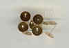 (image for) Set Small Alphabet (J)10 piece Size 33mm x 20mm