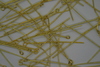 (image for) Set Small Alphabet (J)10 piece Size 33mm x 20mm