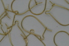 (image for) Set Small Alphabet (J)10 piece Size 33mm x 20mm