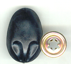 Koala Noses