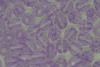 4mm Facet Tr Amethyst 100g