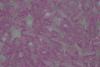 4mm Facet Tr Lt Amethyst 100g