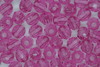 4mm Facet Tr Mauve 100g