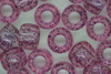Pony Fleck Purple 250g