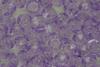 Rondelle Tr Amethyst 100g