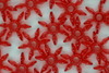 Acrylic Star Beads 10mm