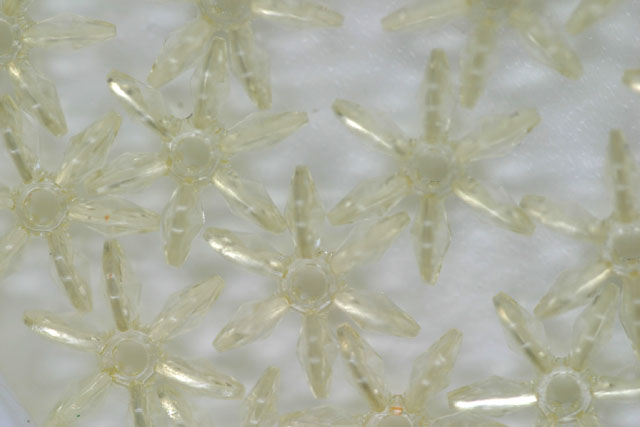 (image for) Star 12mm Tr Champagne 250g