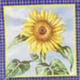 (image for) Set Small Alphabet (P)10 pack. Size 33x22mm