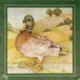 (image for) Set Small Alphabet (P)10 pack. Size 33x22mm