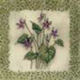 (image for) Set Small Alphabet (P)10 pack. Size 33x22mm