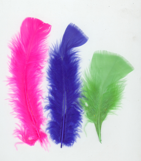 (image for) Turkey Feathers 7grams