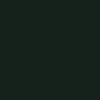 (image for) DecoArt Americana 2oz Midnight Green
