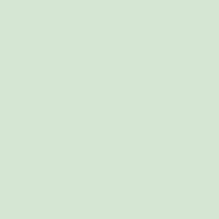 (image for) DecoArt Crafters Acrylic 2oz Barely Green