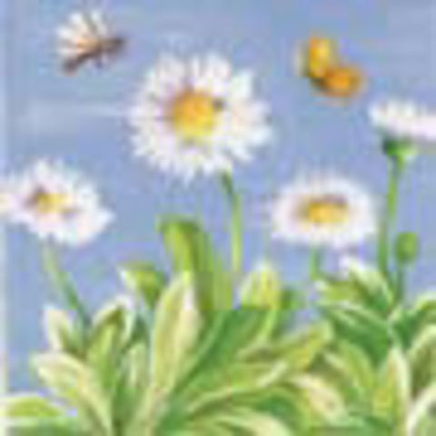 (image for) Set Small Alphabet (P)10 pack. Size 33x22mm