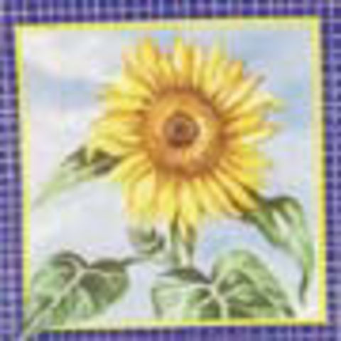 (image for) Set Small Alphabet (P)10 pack. Size 33x22mm