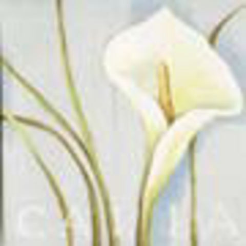 (image for) Set Small Alphabet (P)10 pack. Size 33x22mm