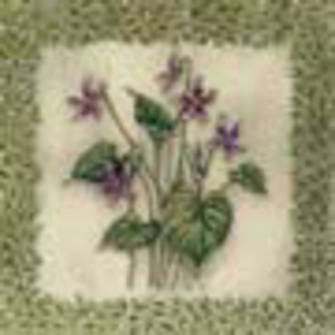(image for) Set Small Alphabet (P)10 pack. Size 33x22mm